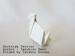 Photo Origami Scottish Terrier, Author : Yasuhiro Sano, Folded by Tatsuto Suzuki